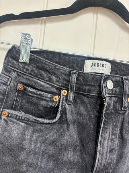 Agolde High Rise Jean