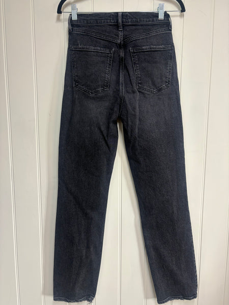 Agolde High Rise Jean